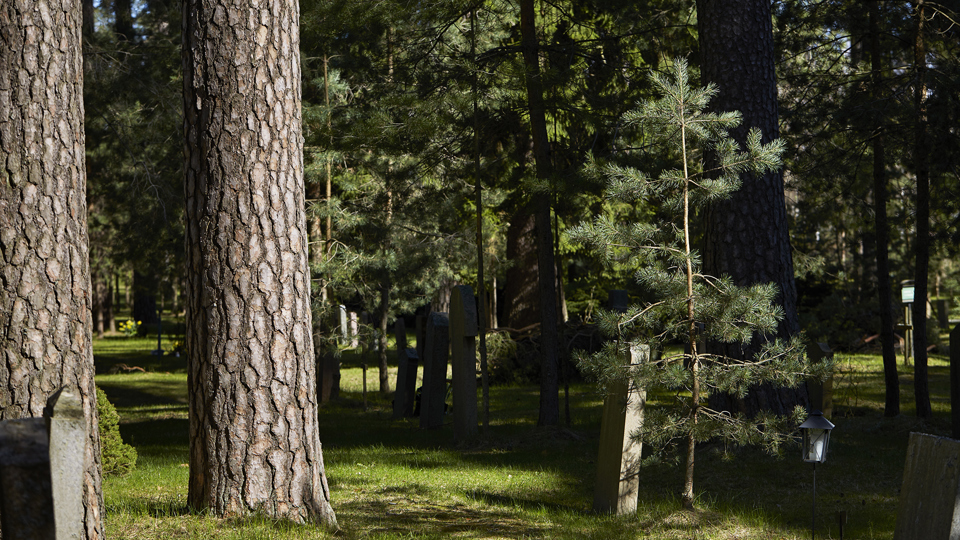 Små och stora talalr på Skogskyrkogården.